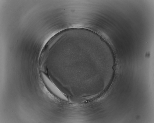 X0000111800892200908131433