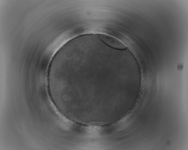 X0000111800893200908131433