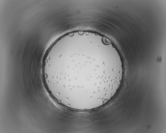 X0000111800894200908131433