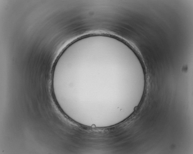 X0000111800895200908131433
