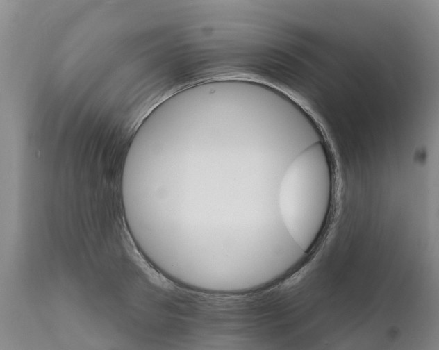 X0000111800897200908131433