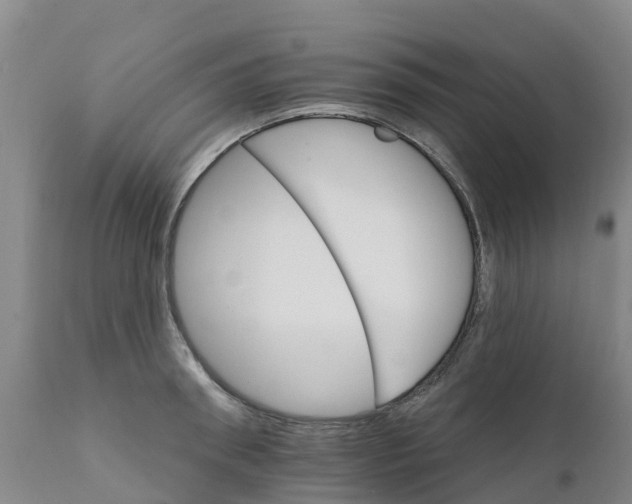X0000111800898200908131433