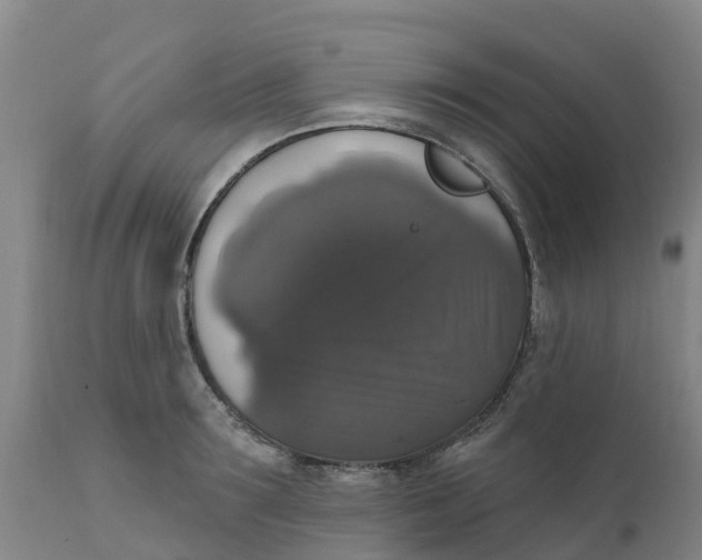 X0000111800899200908131433