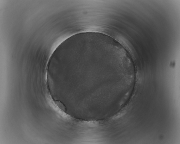 X0000111800900200908131433