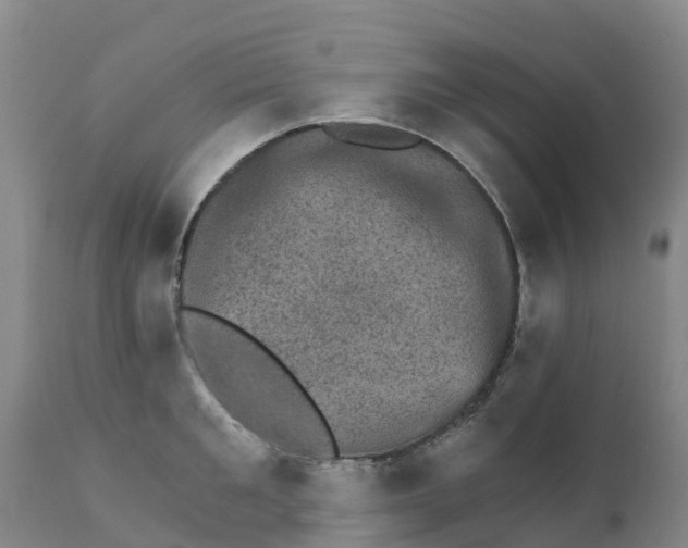 X0000111800901200908131433