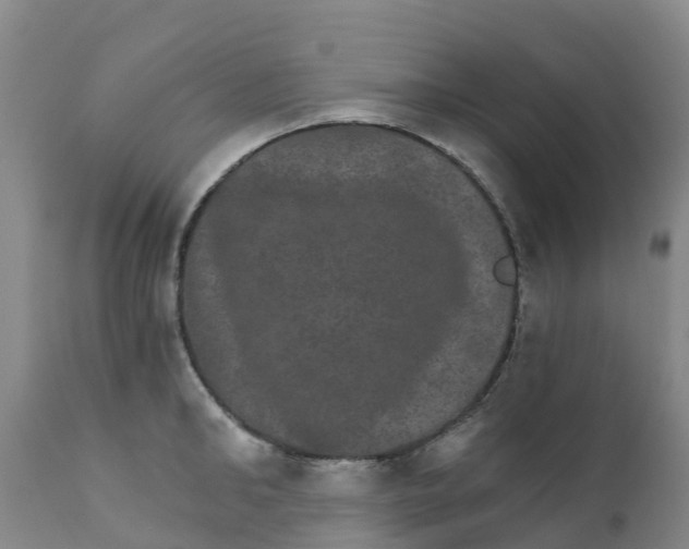 X0000111800902200908131433