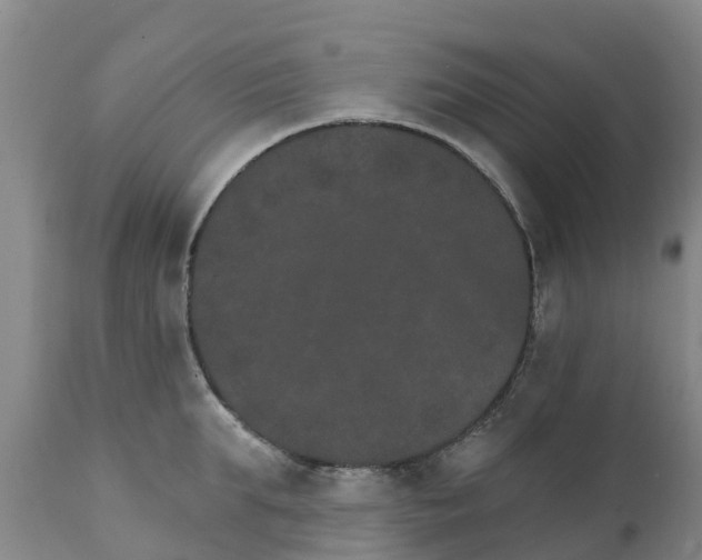 X0000111800903200908131433