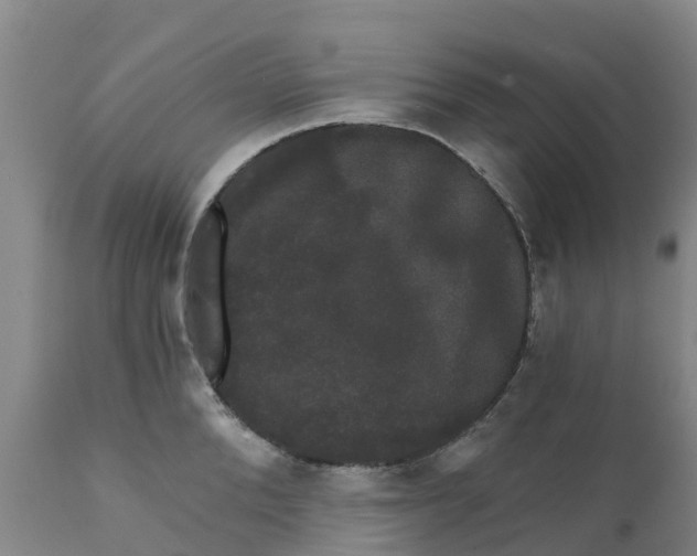 X0000111800904200908131433