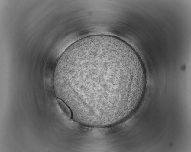 X0000111800905200908131433