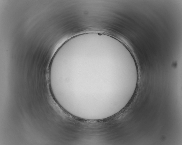 X0000111800907200908131433