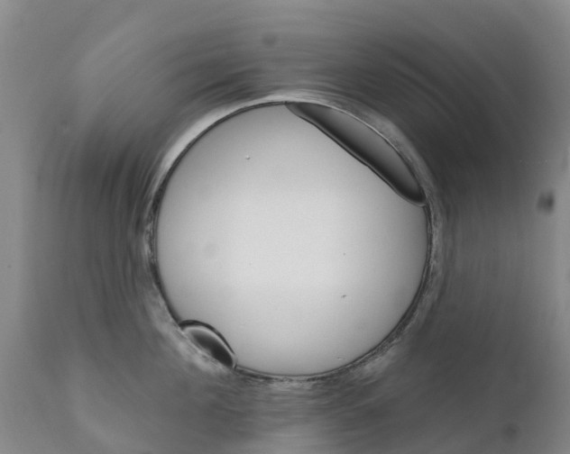 X0000111800908200908131433