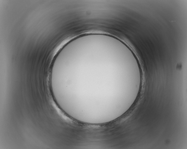 X0000111800909200908131433