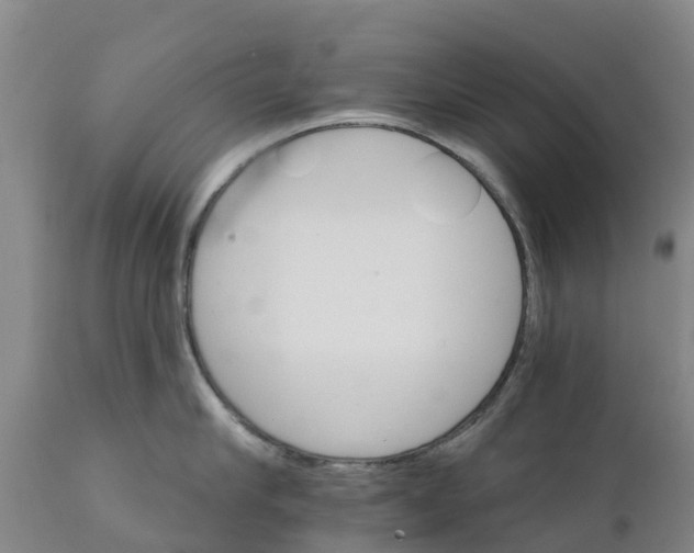 X0000111800910200908131433