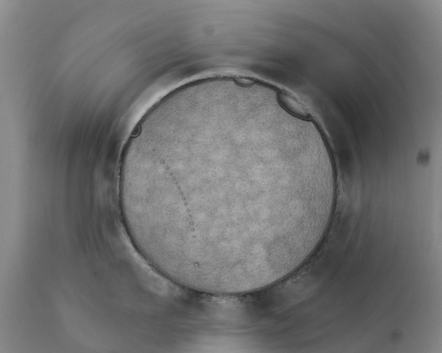 X0000111800911200908131433