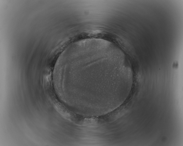 X0000111800914200908131432