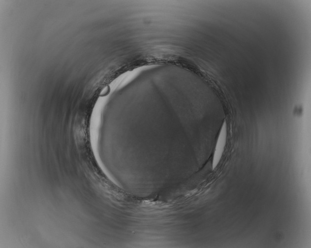 X0000111800915200908131432