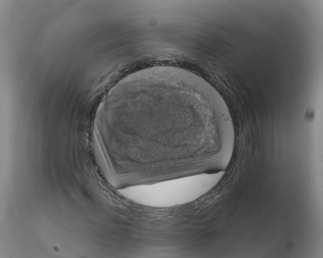X0000111800916200908131432