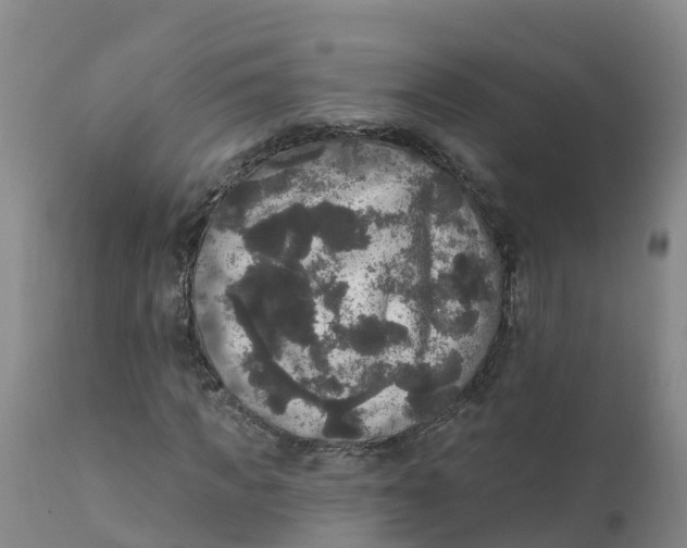 X0000111800917200908131432