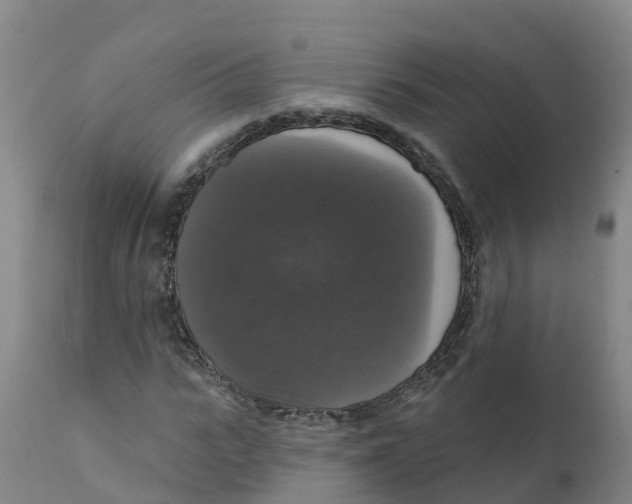 X0000111800919200908131432