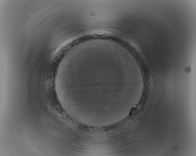 X0000111800920200908131432