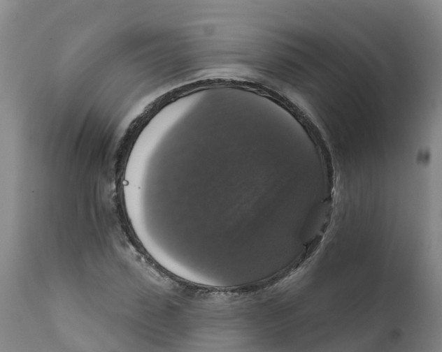 X0000111800923200908131432