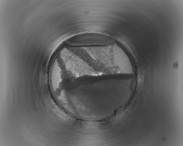 X0000111800924200908131432