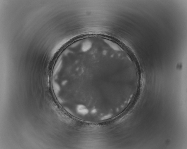 X0000111800925200908131432