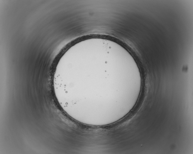 X0000111800926200908131432