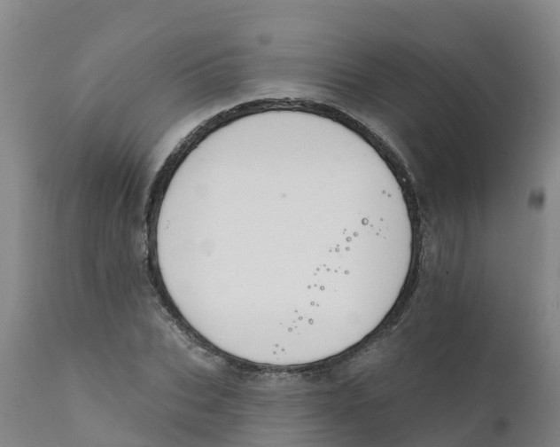 X0000111800927200908131432