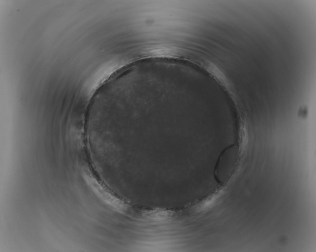 X0000111800930200908131432