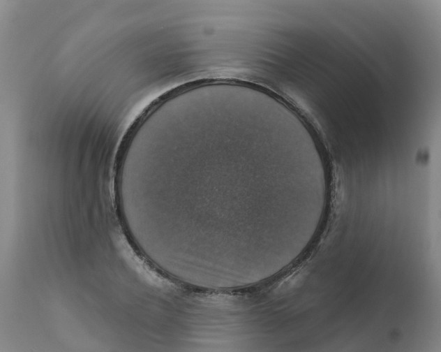 X0000111800932200908131432