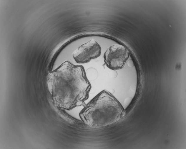 X0000111800933200908131432