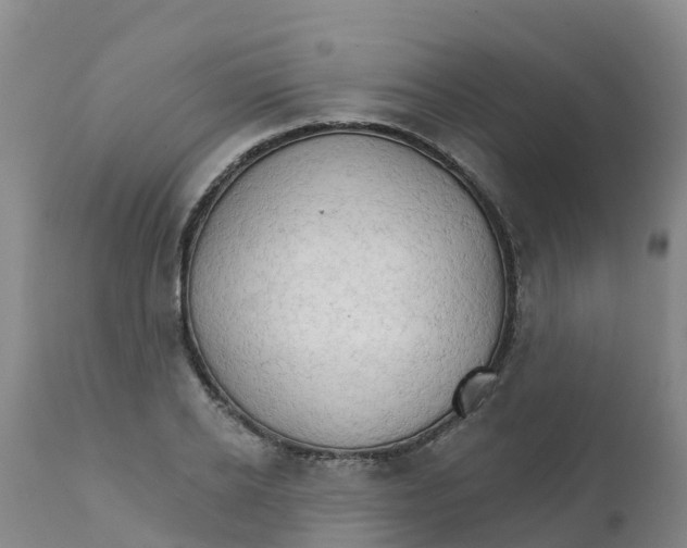 X0000111800934200908131432