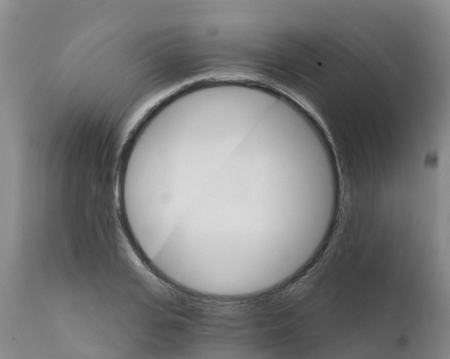 X0000111800935200908131432