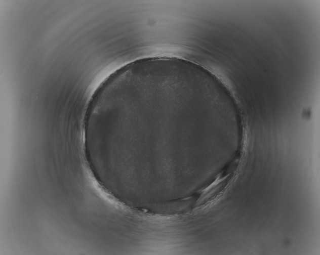 X0000111800936200908131432