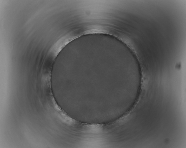 X0000111800937200908131432
