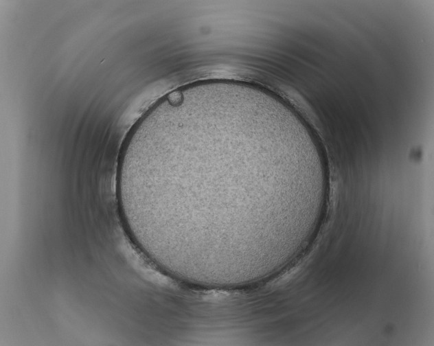 X0000111800938200908131432