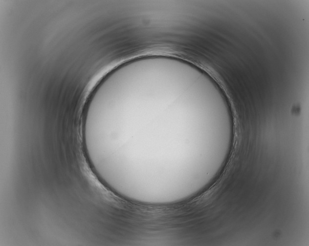 X0000111800939200908131433
