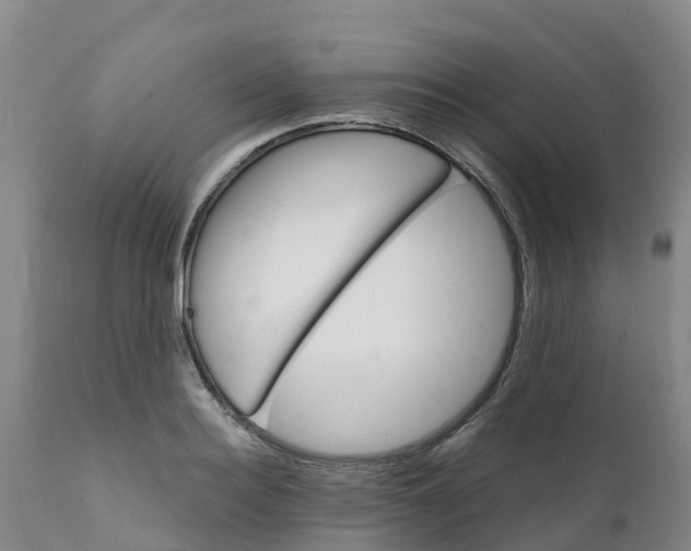 X0000111800940200908131433