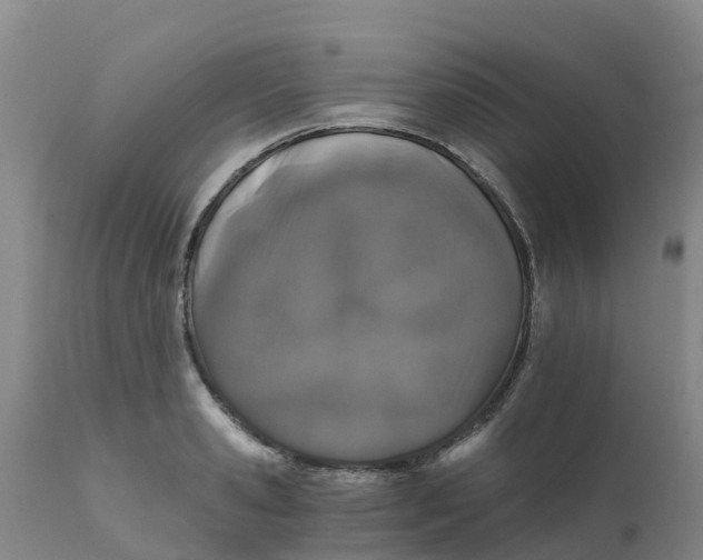 X0000111800941200908131433