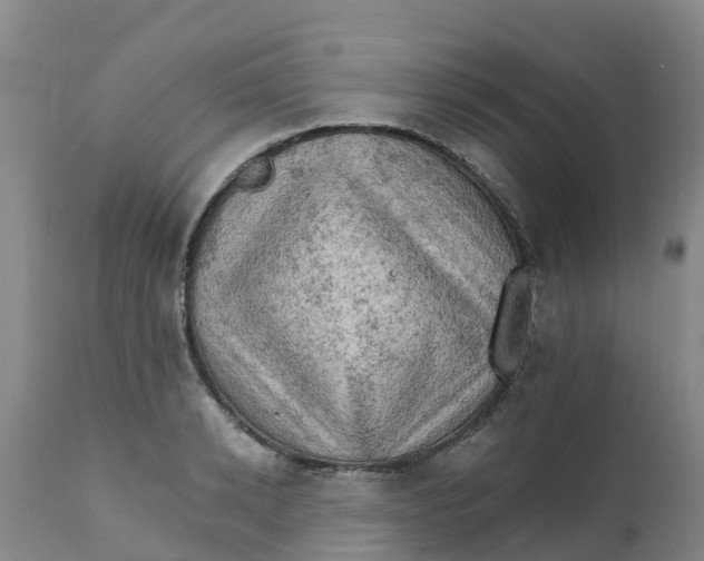 X0000111800942200908131433