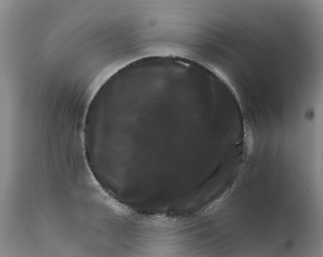 X0000111800943200908131433
