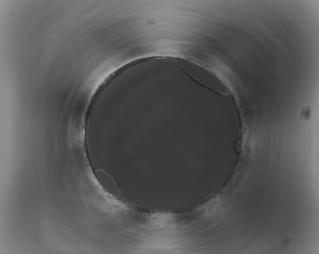 X0000111800944200908131433