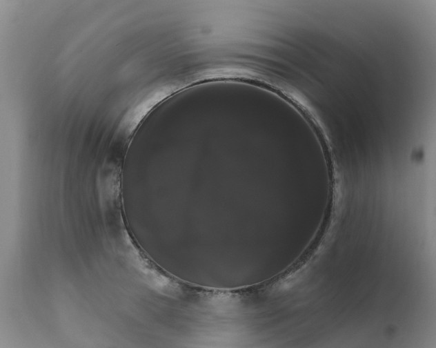 X0000111800945200908131433