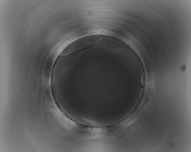 X0000111800946200908131433