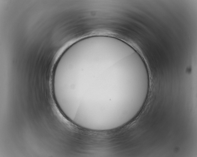X0000111800947200908131433