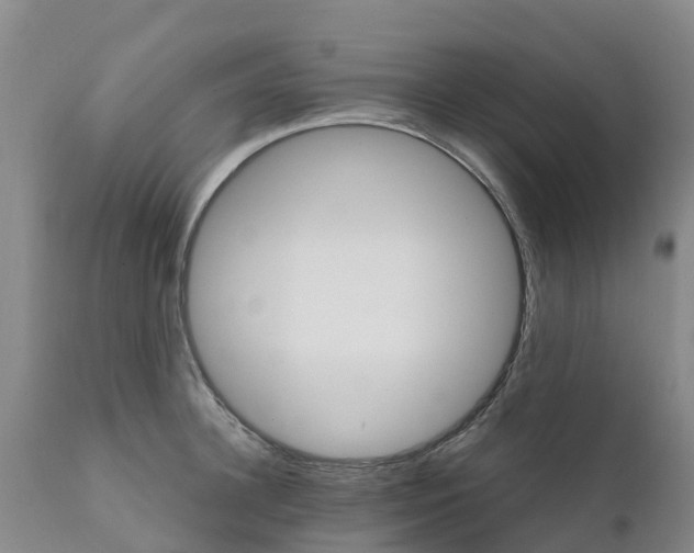 X0000111800948200908131433