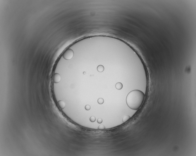 X0000111800949200908131433