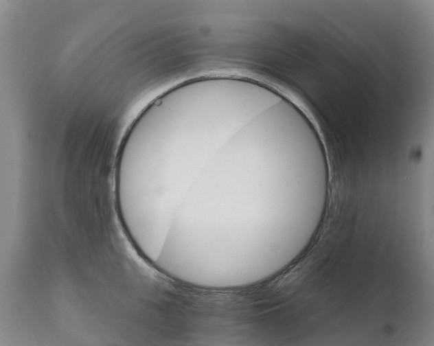 X0000111800951200908131433