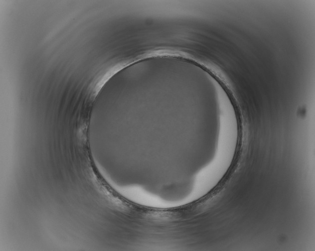 X0000111800953200908131433